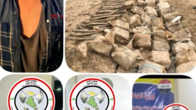 3CC85EDC 91CE 4EF2 8F23 2FABB803965A