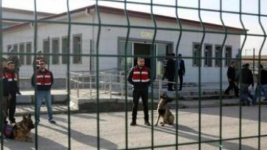 50C13E0E 2A11 48A7 8E17 38C699C5305C