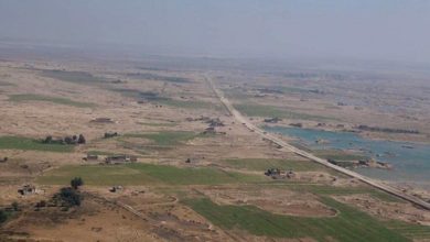 51EA770B 9E5B 4407 97E1 18BBB124E40E