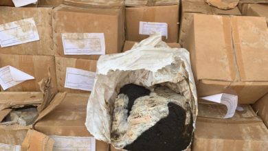 57975DA9 034F 4894 9819 468899365F49