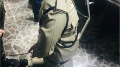 5C9B54A2 5109 406C 81B0 C13E4C2DAB93