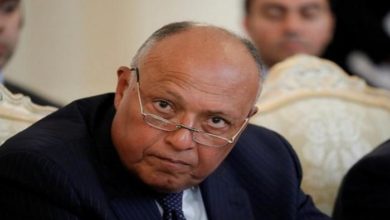 60 223804 egypt humn rights director france intervention 700x400