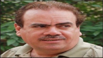 6359954B C19D 4020 B12D 7431483D3C33