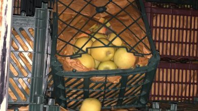 6391D9FD 347D 43C4 8B22 8F9F2D730710