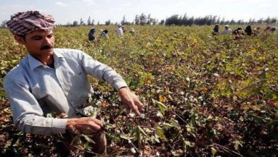 68CCA824 48D0 43CF 844E 529E82CD5AFB