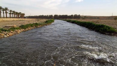 6CB5B1EA 7EFF 480C B8D1 5492AA3BEAB8