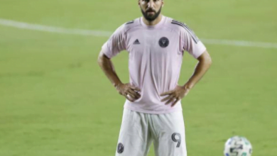 6E93BE57 3B19 4C6B AA96 1BD2D2F40D03