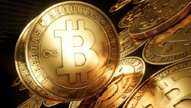 6EA75087 EC73 4ACC 8B7B ABC91E159EB3