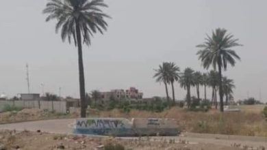 7226C1CF C950 4C1F A594 6D464FEE6596