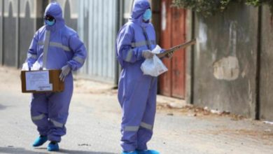 75BA2AA8 4F6C 4817 AE83 06D7C2E474C0