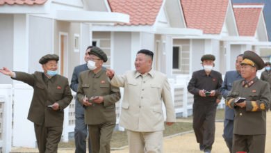 791CF1D1 4AFA 42B0 A531 1EC866E6D3AF