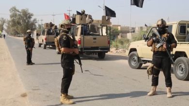 7992020 1159202062007 download