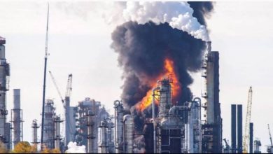 7BCC8AEB AEB7 4E42 82E1 9DF7D303C050