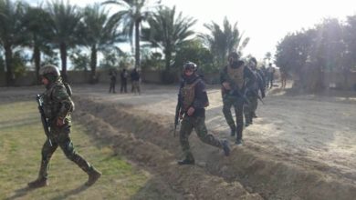 7E3A03C6 8D78 404D 95C5 76AE81D60AB9