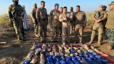 814112020 49868776 2c72 4cd1 9a3c 53ea961ade50