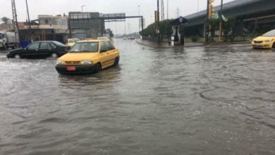 8AECC651 2255 41B9 BFDC 91DD151E4B94