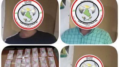 9251DC71 4160 4D08 A1D3 E4260A6680C9