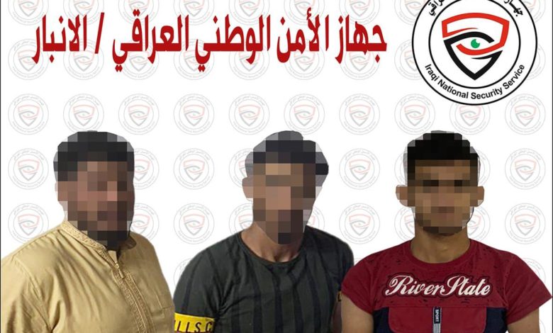 9E1E140D EC76 4F8B 940A 0D107AD99062