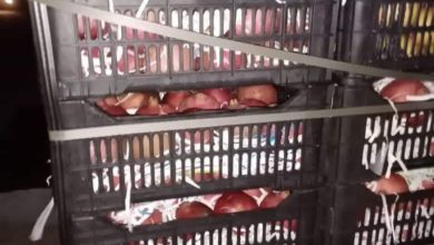 AF5BBB28 5EB8 43DF 891F 1F5E80AE8654