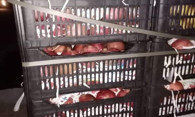 AF5BBB28 5EB8 43DF 891F 1F5E80AE8654