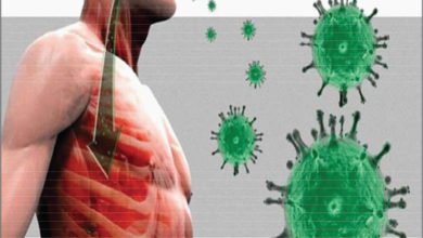 B5F8EAA3 786D 4669 8522 DD25AF18C367