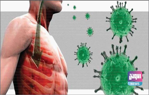 B5F8EAA3 786D 4669 8522 DD25AF18C367