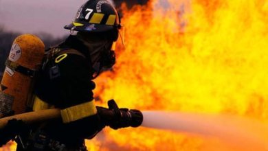 BE990596 5568 42CD 819E BA263C7E9B13