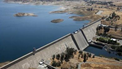 BF37E57F D021 47A9 AB69 E8DF5F0A494A