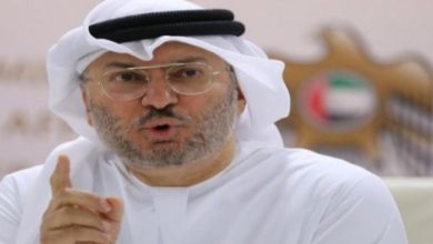 قرقاش: أزمة سوريا تحتاج مقاربة جديدة 3 D72EA50B 3C78 41E2 96A4 E7EA7708735E