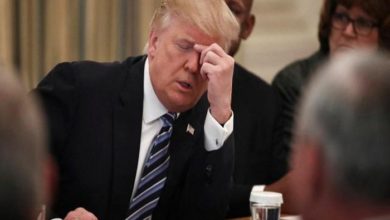 D958B5E3 84DB 44A1 A5B2 39816452AE96