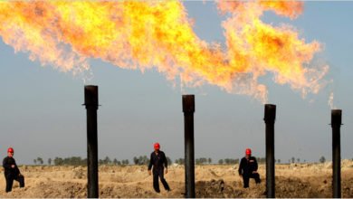 D96F8C50 12D5 4977 B479 F6367212D90F