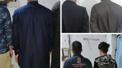 DA74EC62 E920 4195 A07D 89E5255E7B0F