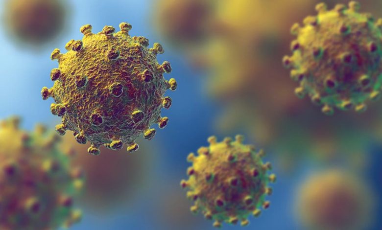 E8367A25 3982 47A6 8633 2DA7B28EC6C7