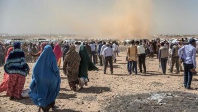 EA51BC80 3DB2 4EB6 87CE A8A27F8480F7