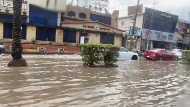 EBE48188 4E1B 4517 A6DE EEF39A59570A