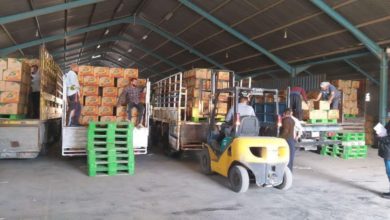 EC67A04F 83E9 4674 86B2 BC470A1F9C82