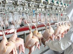 HTB1fh4 bifrK1RjSspbq6A4pFXa6.jpg 300x300