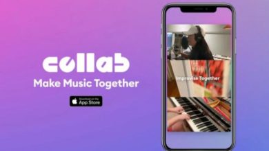 0E833C78 B376 4099 BF59 C4A77D658493