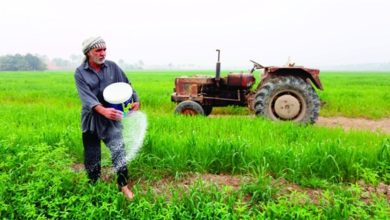 1020122020 2018104144318376M