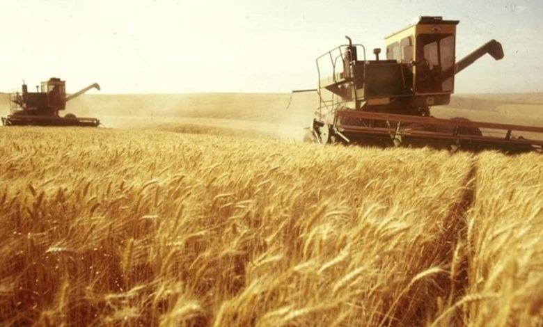 1028122020 Doc P 313127 636999138705192203