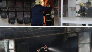 136D1CE4 B19C 4BE1 AFE5 1007D295EA4B