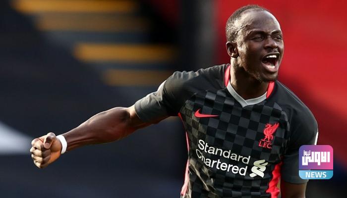 138 104356 mane promise fan