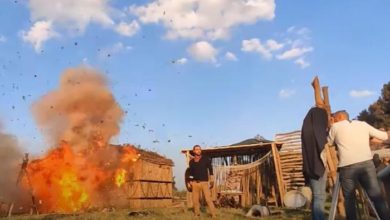 محمد إمام ينشر كواليس تصوير "لص بغداد"...بالفيديو 4 173 011353 movie thief baghdad muhammad imam 700x400