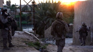 30ABF954 BBD9 4DAB 99E8 E7041F58B902