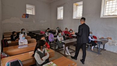 395113CA FB61 4497 9CF7 56228AF0BFB7