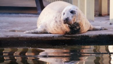 423BF4F9 4F23 441E B510 4A57022DE7E2