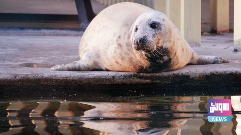 423BF4F9 4F23 441E B510 4A57022DE7E2