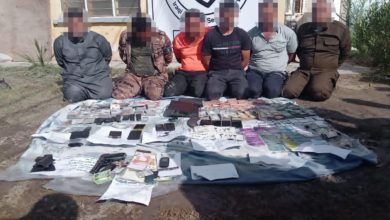 503331C1 6A68 43BE 8C12 3556B2931E83