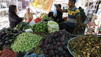 51402CCC 8D0D 4DCE 8337 0F89F643CEFC