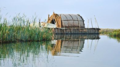 625112020 155612722657052900